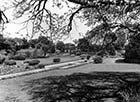 Northdown Park, The Pond   